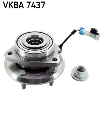 SKF Radlagersatz SKF Radlagersatz